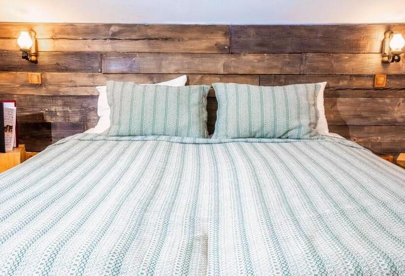 پانسیون Vila Stefana Paltinis