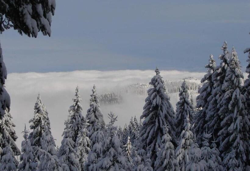 پانسیون Vila Stefana Paltinis