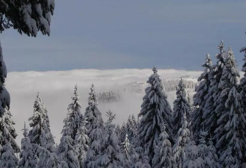 ペンション Vila Stefana Paltinis