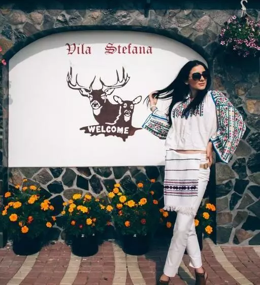 ペンション Vila Stefana Paltinis