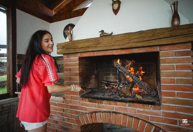 پانسیون Vila Stefana Paltinis