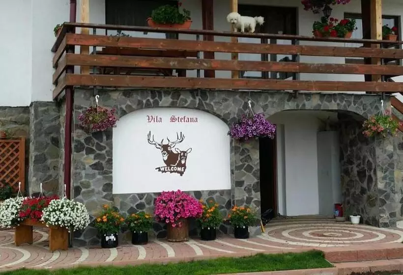 ペンション Vila Stefana Paltinis