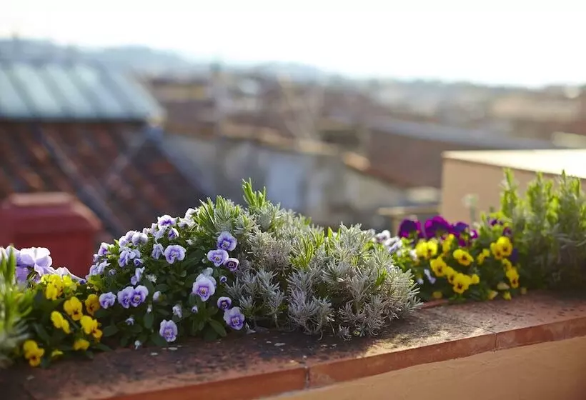 تختخواب و صبحانه Antica Dimora Johlea