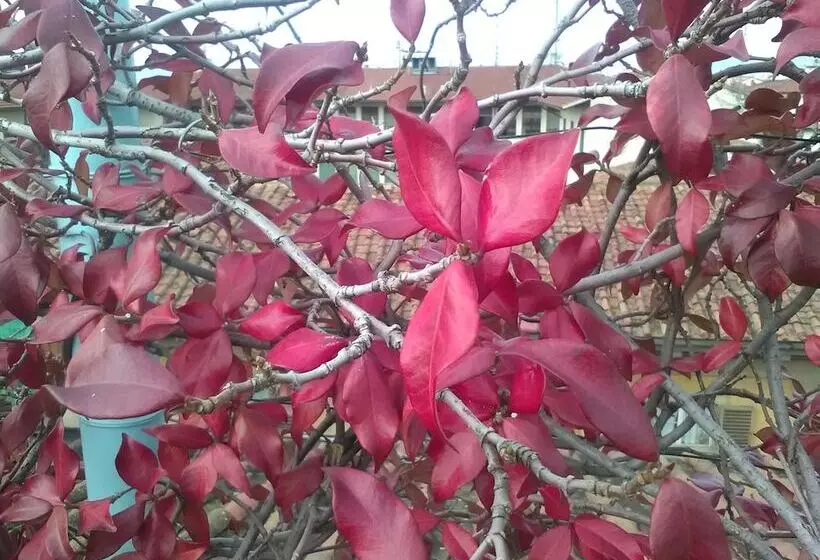 تختخواب و صبحانه Antica Dimora Johlea