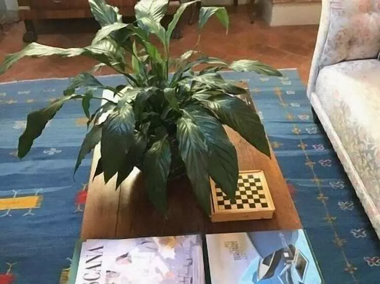 تختخواب و صبحانه Antica Dimora Johlea