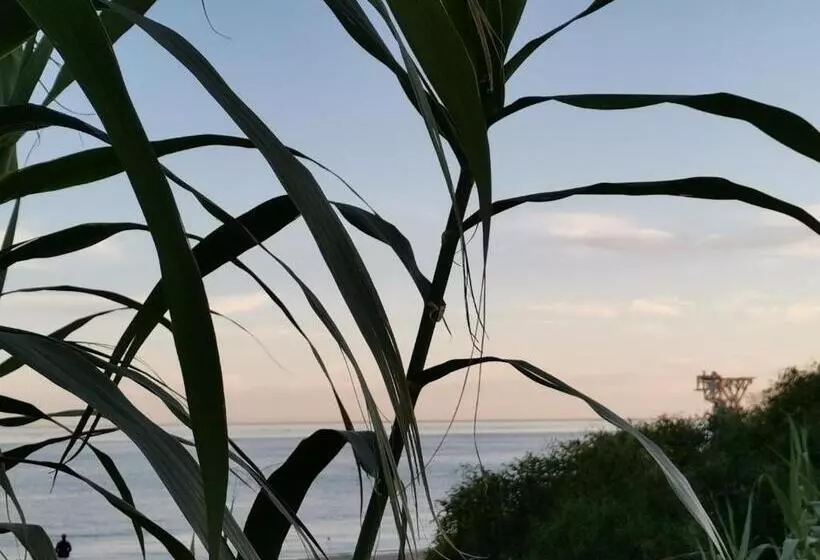 Хостел El Tio Mateo