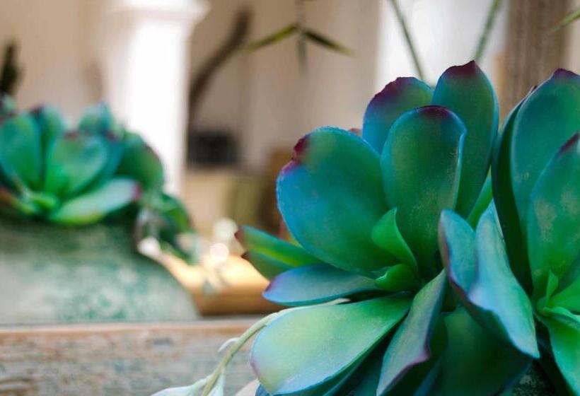 مسافرخانه Silos19 Suites