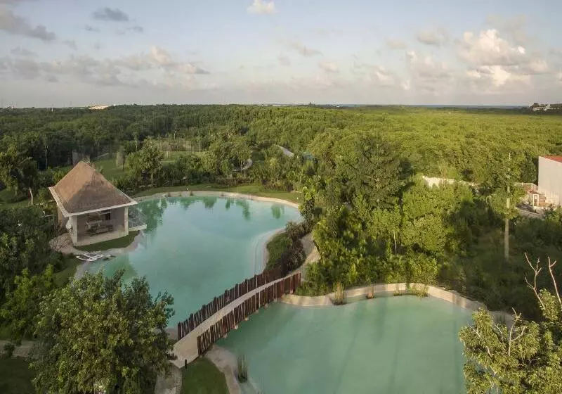 ホテル Platinum Yucatan Princess - Adults Only - All Inclusive