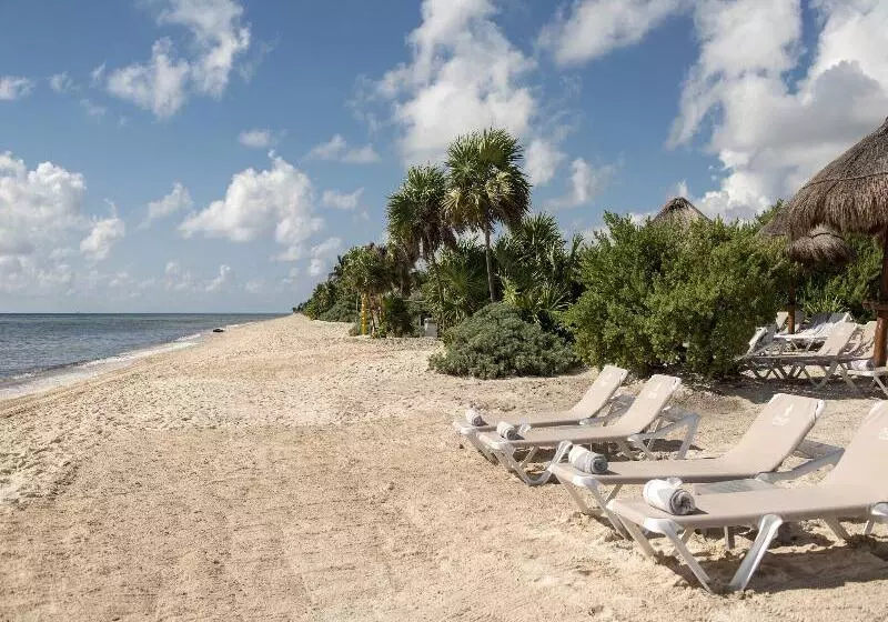 ホテル Platinum Yucatan Princess - Adults Only - All Inclusive