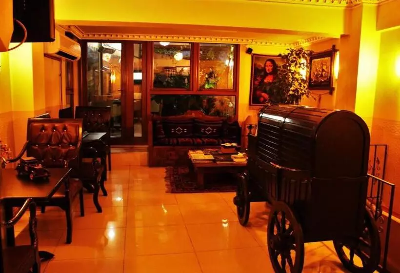 هتل Sultanahmet Park