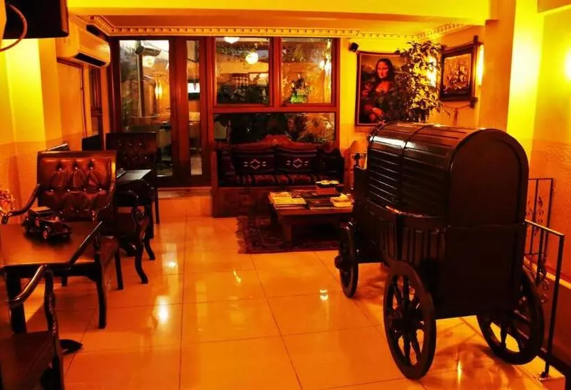 هتل Sultanahmet Park