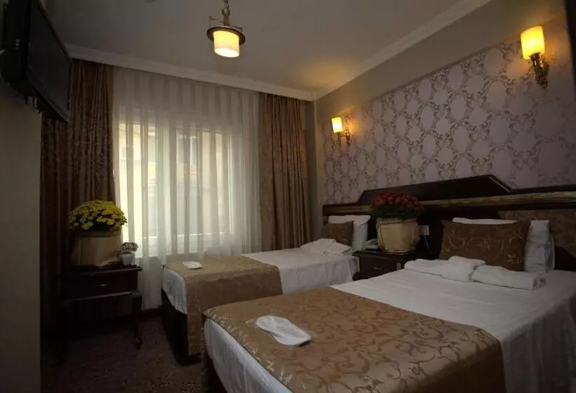 هتل Sultanahmet Park