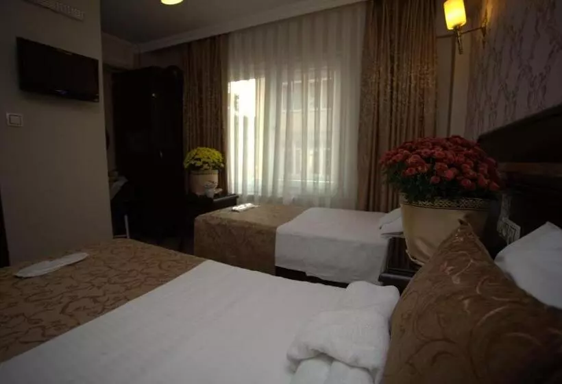 هتل Sultanahmet Park