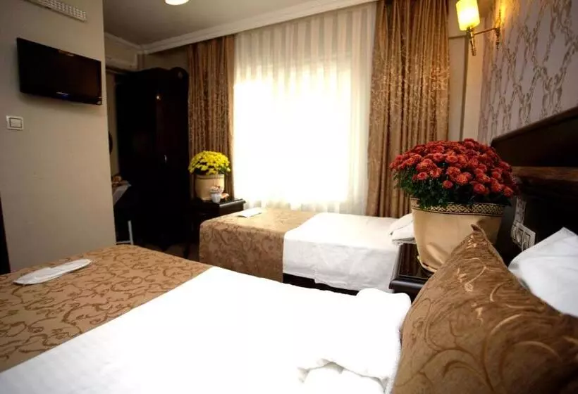 هتل Sultanahmet Park