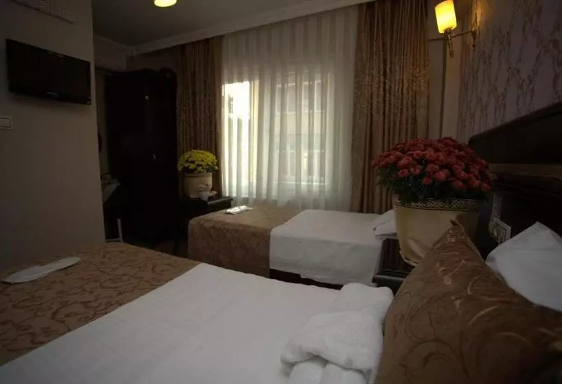 هتل Sultanahmet Park