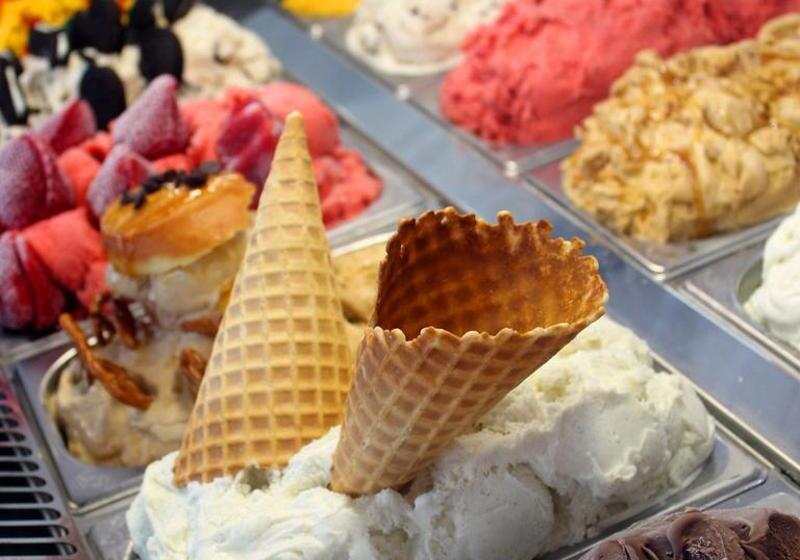 Casa Victoria Orchid