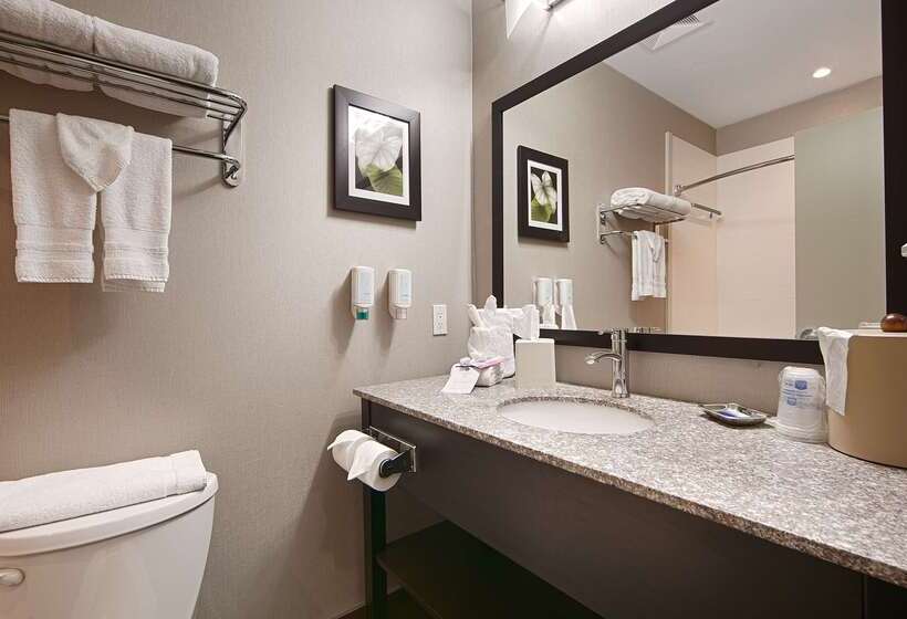 酒店 Best Western Plus Fergus