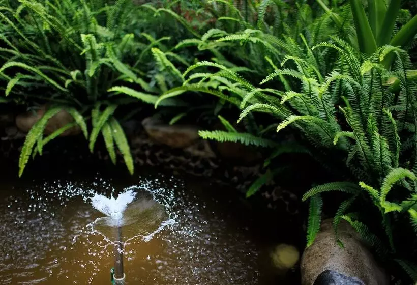 בית מלון כפרי Old Story Inn Dali Ancient Town