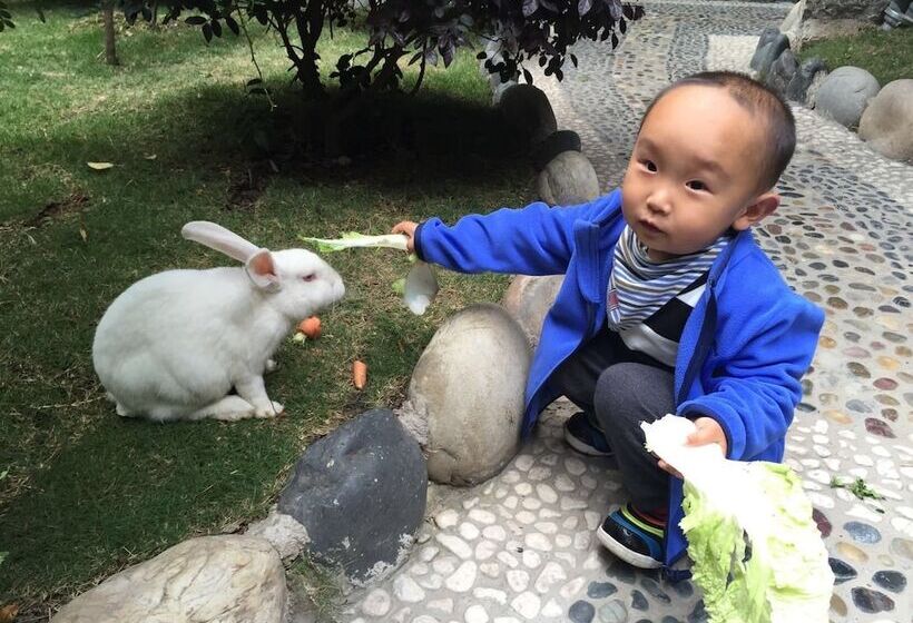 호텔 Old Story Inn Dali Ancient Town