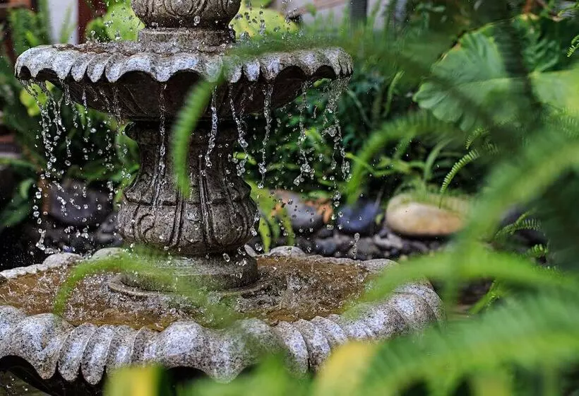 בית מלון כפרי Old Story Inn Dali Ancient Town