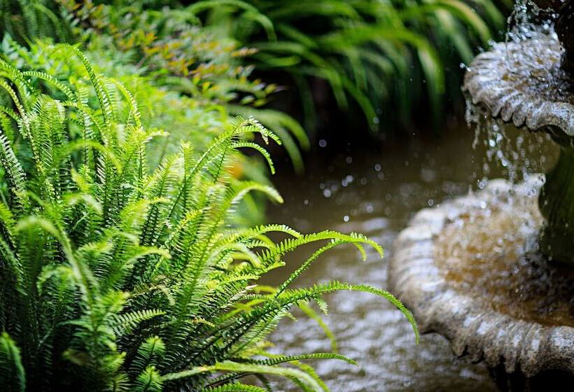 호텔 Old Story Inn Dali Ancient Town