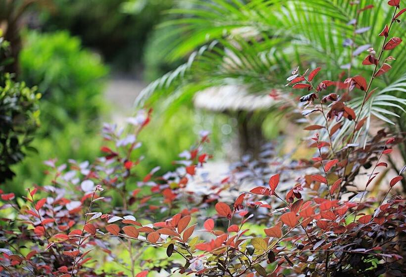 호텔 Old Story Inn Dali Ancient Town