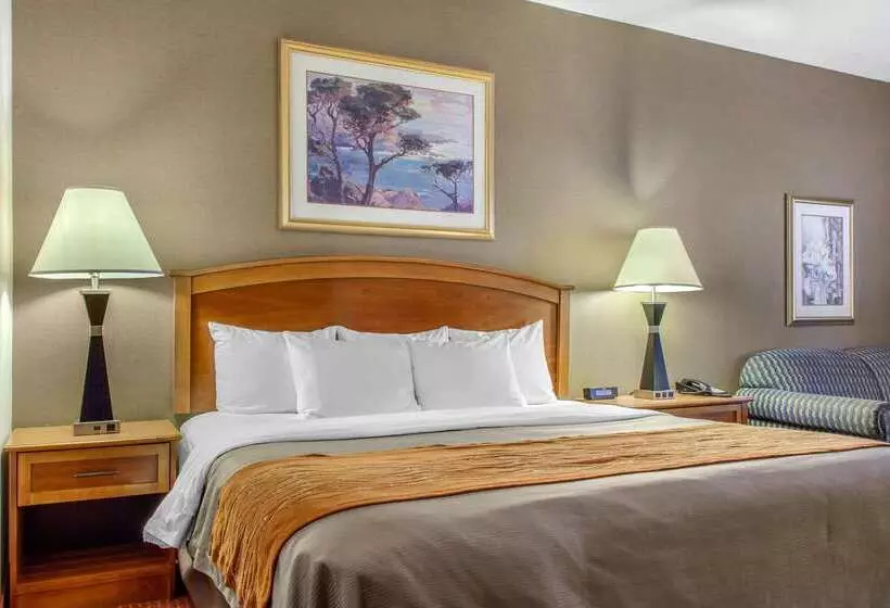 Otel Comfort Inn & Suites I 25 Near Spaceport America