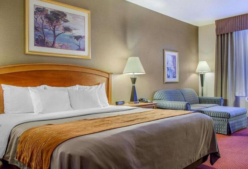 酒店 Comfort Inn & Suites I 25 Near Spaceport America