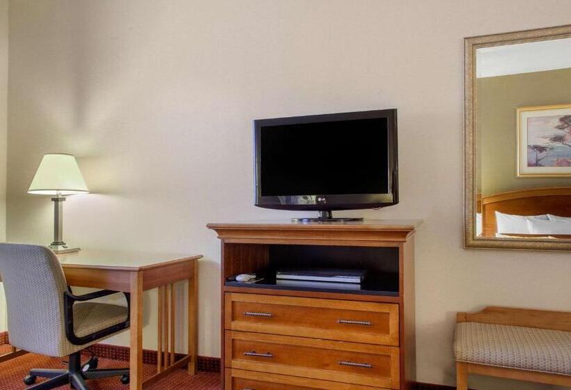 酒店 Comfort Inn & Suites I 25 Near Spaceport America