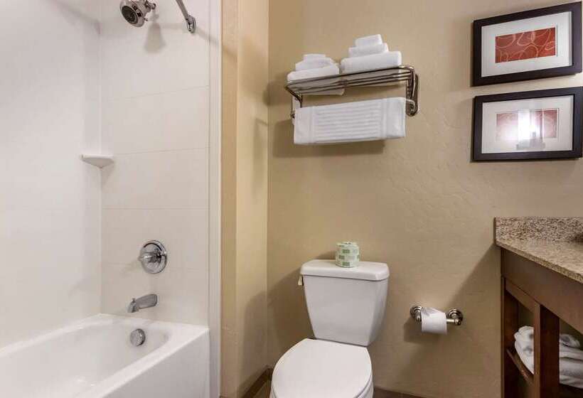 فندق Comfort Suites Airportuniversity