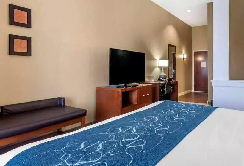 酒店 Comfort Suites Airportuniversity