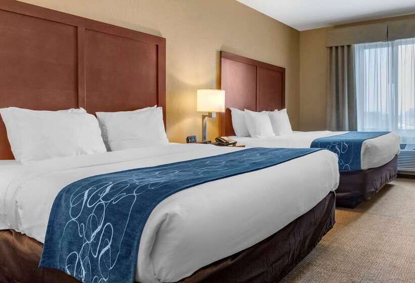 فندق Comfort Suites Airportuniversity