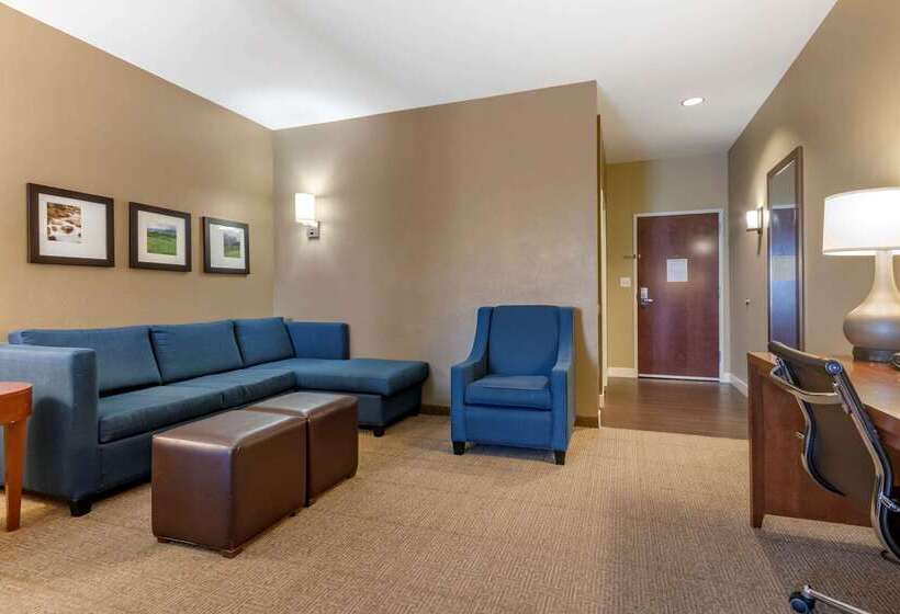 فندق Comfort Suites Airportuniversity