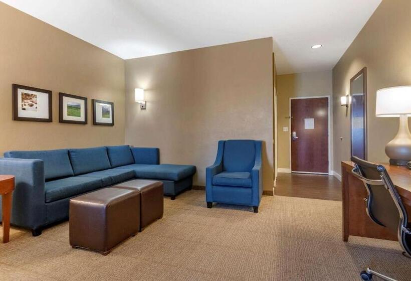 فندق Comfort Suites Airportuniversity