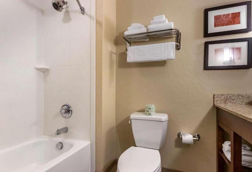 فندق Comfort Suites Airportuniversity