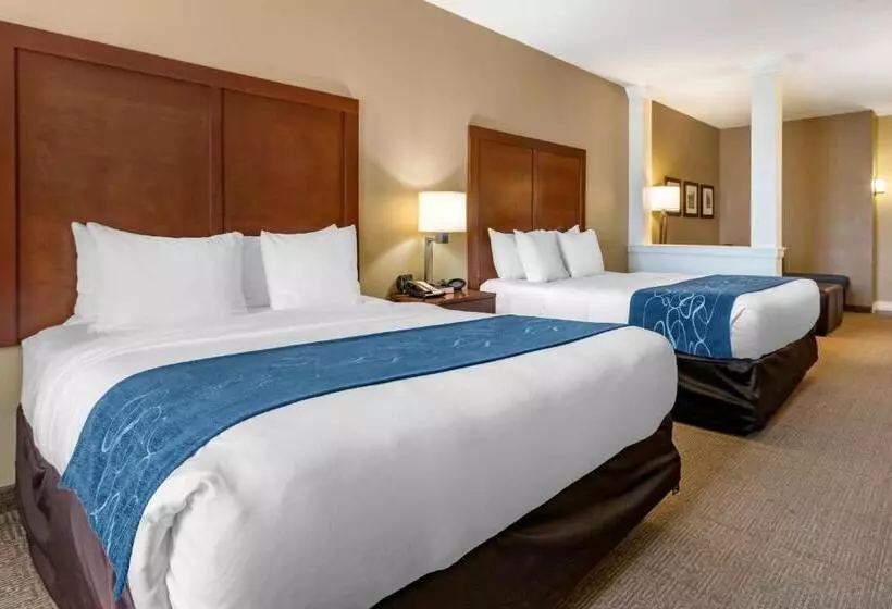 酒店 Comfort Suites Airportuniversity