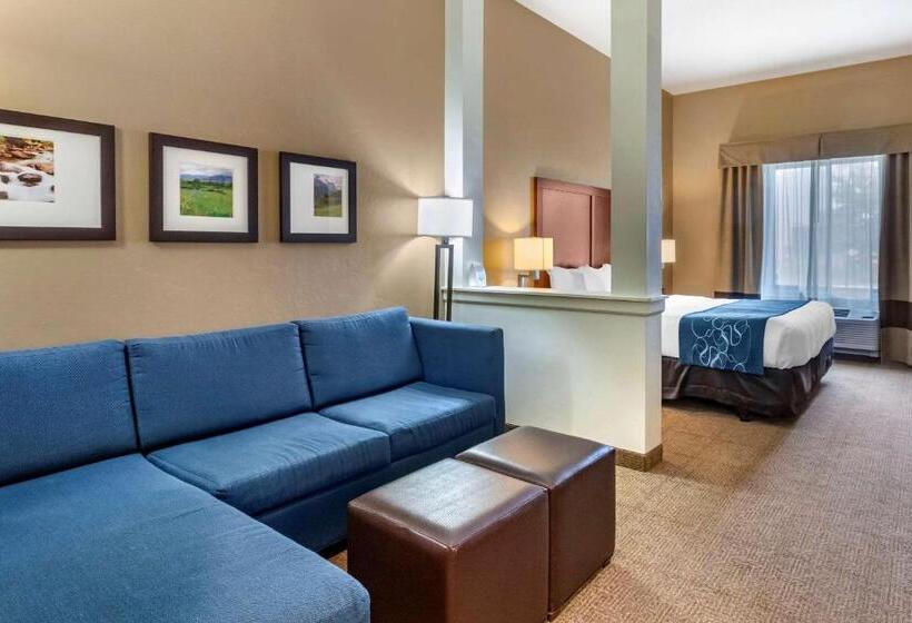 فندق Comfort Suites Airportuniversity