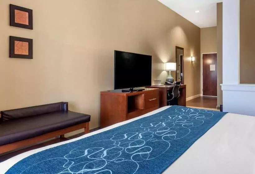 酒店 Comfort Suites Airportuniversity