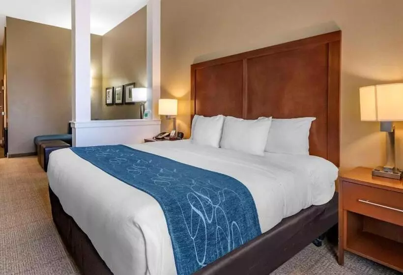 酒店 Comfort Suites Airportuniversity