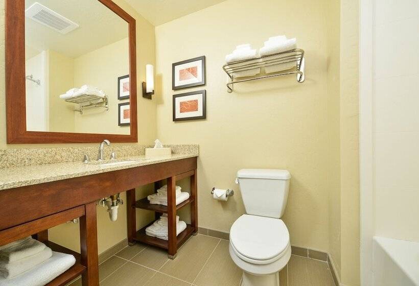 فندق Comfort Suites Airportuniversity