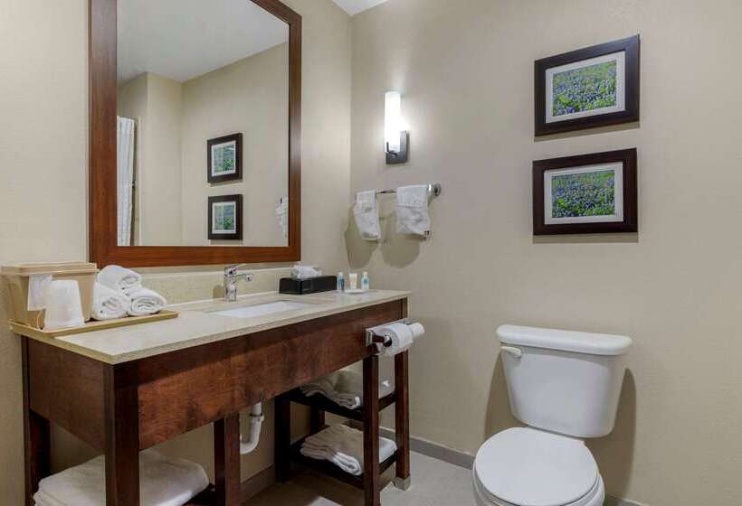 酒店 Comfort Suites