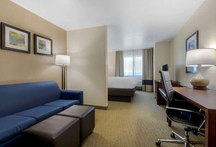 酒店 Comfort Suites