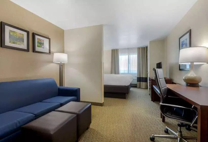 호텔 Comfort Suites