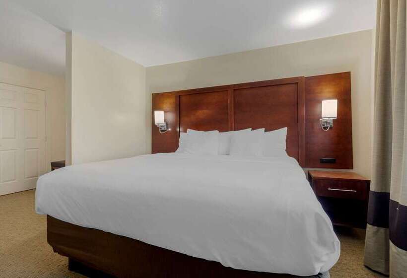 酒店 Comfort Suites