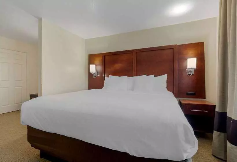 호텔 Comfort Suites