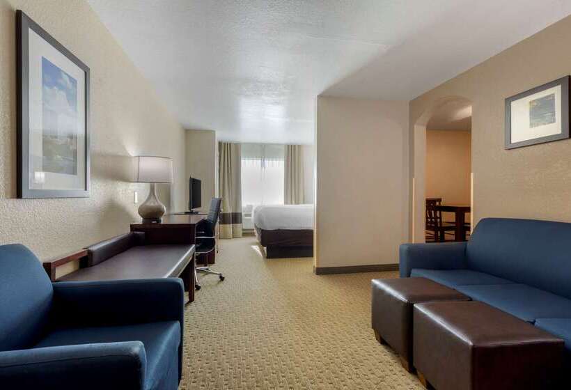 酒店 Comfort Suites