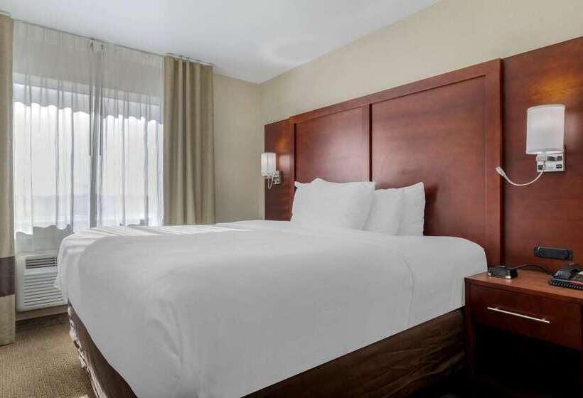 酒店 Comfort Suites