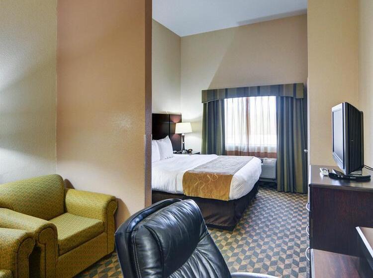 酒店 Comfort Suites