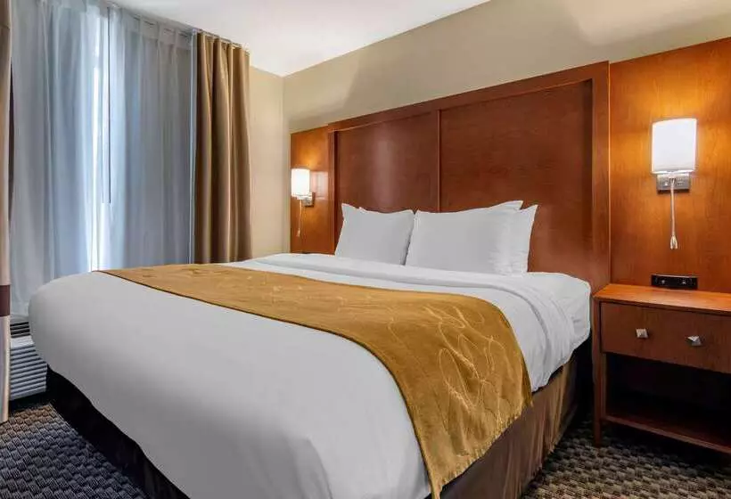 בית מלון כפרי Comfort Suites Manhattan