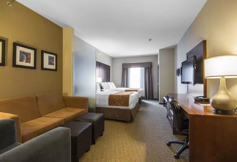 ホテル Comfort Suites